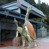 24589 - Japan is Weird