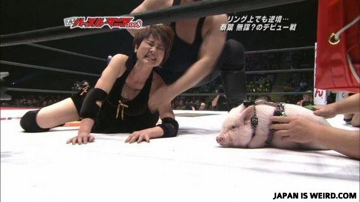 Japanisweird-com-03e4c6