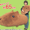 28792 - Japan is Weird