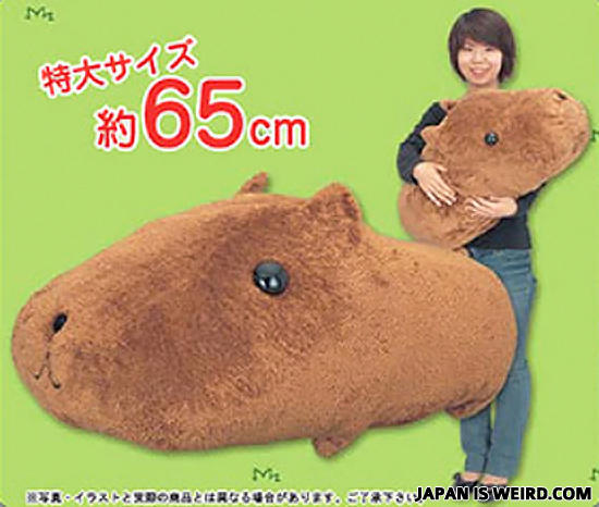 Hamster