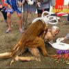 16445 - Unmoderated Strange and Bizarre Japanese Photos - 1