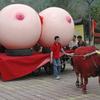 56382 - Japan is Weird