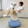 Robotbear